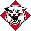 Davidson logo